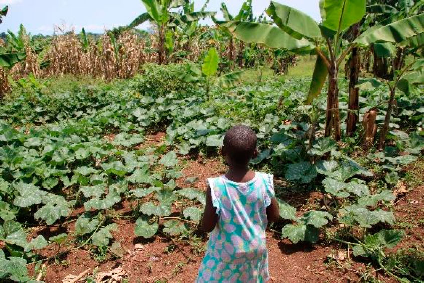 julehilsen2020-4.jp2