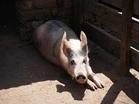 Norske studenter på besøk