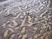 Sommerhilsen fra Bring Children From Streets